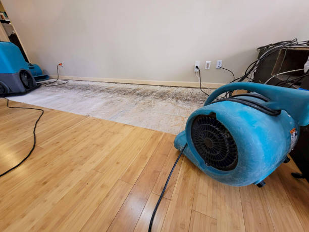 Professional Sewage Cleanup technician working in Hometown, PA